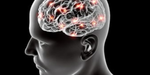小脑萎缩只会发生在脑部么？