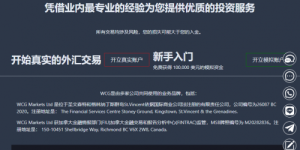 WCG MARKETS提醒您：警惕蓄意仿冒网站，谨防上当受骗！