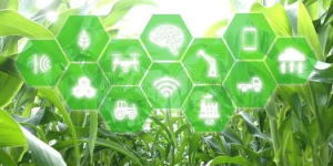 互联网+中国生态养殖产业，推动农产品发展新模式