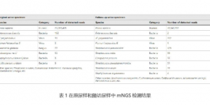 基于mNGS技术鉴定粪肠球菌引起的尿路感染