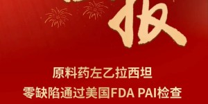 喜报-原料药左乙拉西坦零缺陷通过美国FDA PAI检查